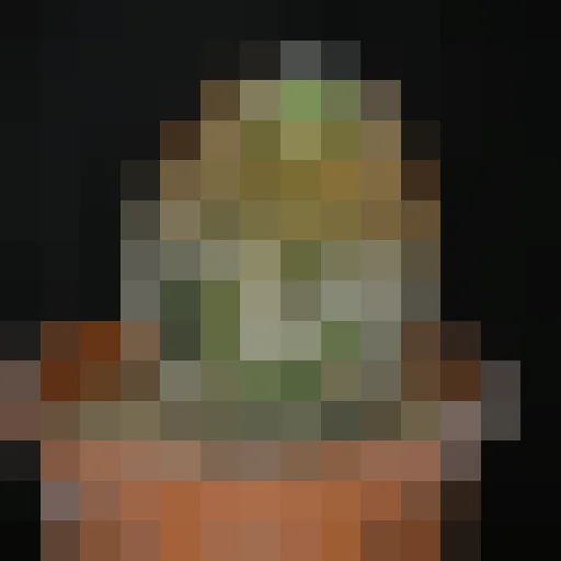 La photo en 196 pixels carrés