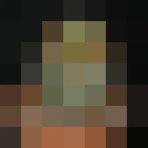 La photo en 49 pixels carrés