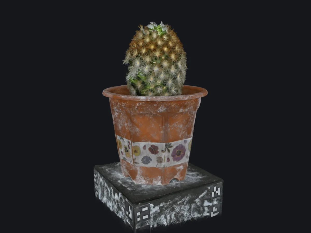 The potted cactus as a Gaussian splat in an interactive viewer, on a dark background