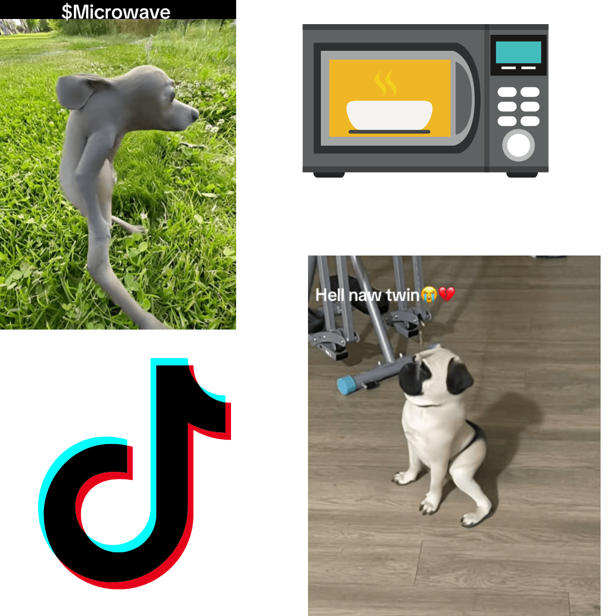 The "Microwave" Filter on TikTok: When Augmented Reality Reveals Its Viral Potential